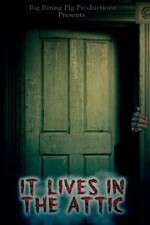 Watch It Lives in the Attic Xmovies8