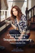 Watch A Bundle of Trouble: An Aurora Teagarden Mystery Xmovies8