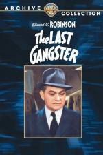 Watch The Last Gangster Xmovies8