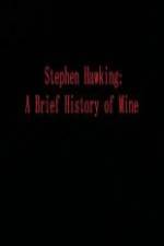 Watch Stephen Hawking A Brief History of Mine Xmovies8