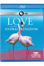 Watch Nature: Love in the Animal Kingdom Xmovies8