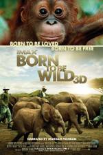 Watch Born to Be Wild Xmovies8