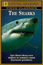 Watch National Geographic The Sharks Xmovies8