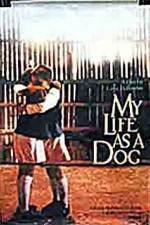 Watch My Life As A Dog Xmovies8