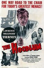 Watch The Hoodlum Xmovies8