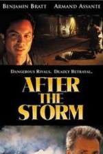 Watch After the Storm Xmovies8