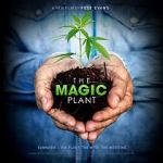 Watch The Magic Plant Xmovies8