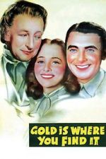 Watch Gold Is Where You Find It Xmovies8