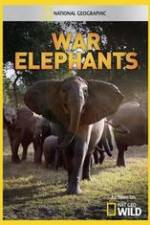 Watch War Elephants Xmovies8