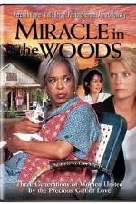 Watch Miracle in the Woods Xmovies8
