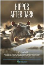 Watch Hippos After Dark Xmovies8