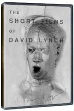 Watch The Short Films of David Lynch Xmovies8