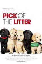 Watch Pick of the Litter Xmovies8