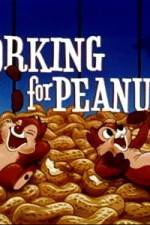 Watch Working For Peanuts Xmovies8