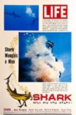 Watch Shark Xmovies8