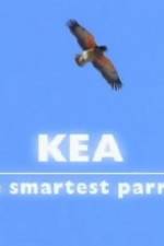 Watch Kea - The Smartest Parrot Xmovies8