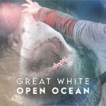 Watch Great White Open Ocean Xmovies8