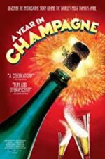 Watch A Year in Champagne Xmovies8