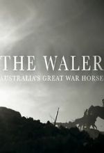 Watch The Waler: Australia\'s Great War Horse Xmovies8