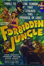 Watch Forbidden Jungle Xmovies8