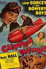 Watch Clipped Wings Xmovies8