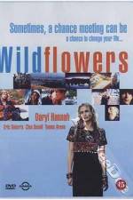 Watch Wildflowers Xmovies8