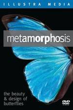 Watch Metamorphosis: The Beauty and Design of Butterflies Xmovies8