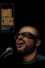 Watch David Cross Bigger & Blackerer Xmovies8