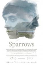 Watch Sparrows Xmovies8