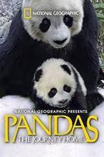 Watch Pandas: The Journey Home Xmovies8