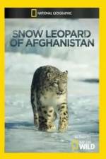 Watch Snow Leopard of Afghanistan Xmovies8