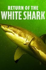Watch Return of the White Shark Xmovies8