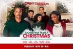 Watch A Chestnut Family Christmas Xmovies8