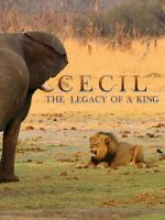 Watch Cecil: The Legacy of a King Xmovies8
