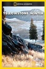 Watch National Geographic Yellowstone Winter Xmovies8