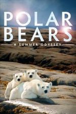 Watch Polar Bears: A Summer Odyssey Xmovies8