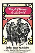 Watch Cockeyed Cowboys of Calico County Xmovies8