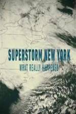 Watch Superstorm New York: What Really Happened Xmovies8