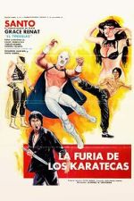 Watch The Fury of the Karate Experts Xmovies8