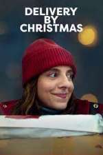 Watch Delivery by Christmas Xmovies8