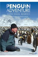 Watch Penguin Adventure With Nigel Marven Xmovies8