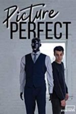 Watch Picture Perfect Xmovies8