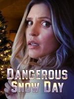 Watch Dangerous Snow Day Xmovies8