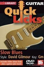 Watch Lick Library Quick Licks David Gilmour Xmovies8