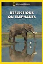 Watch Reflections on Elephants Xmovies8
