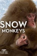 Watch Nature: Snow Monkeys Xmovies8