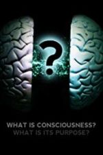 Watch What Is Consciousness? What Is Its Purpose? Xmovies8