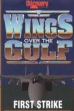 Watch Wings Over the Gulf Vol  1  First Strike Xmovies8