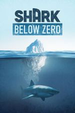 Watch Shark Below Zero Xmovies8