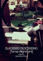 Watch Blackbird Descending Xmovies8